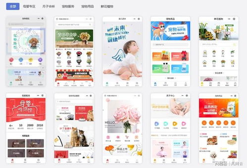 解鎖小程序定制寶典 從圖文設(shè)計到制作全流程詳解